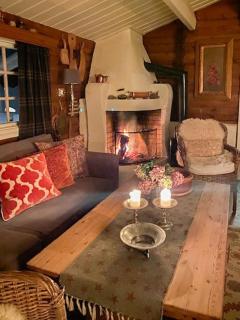 Cabin In Rauland Near Fishing, Hiking And Skiing - Rauland - 5
