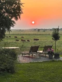 All-Year Oasis With Sea Field And Nature Views - Ebberup - 6