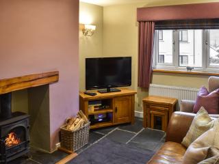 Penny Rigg Cottage - Coniston - 0