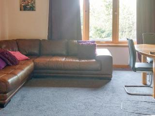 Park Lodge - Strachan - 9