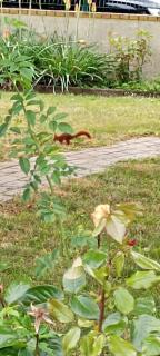 Chambre privée calme,campagne,étape,déplacement pro,abri moto vélo,parking - 5