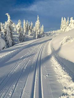 Stay At Norefjell, Ski-In-Out And Panorama - Noresund - 8