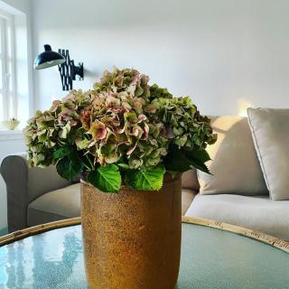 Rustic Bliss Near Forest And Fields - Nyborg - 5