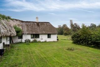 Renovated Stable With Seaweed Roof On Læsø - 1