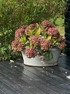 Charming Cottage Close To Tisvilde Beach - 6