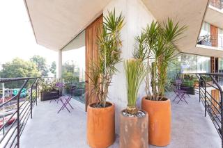 A2-Apartment steps from Chapultepec Castle and Reforma - Città del Messico - 0