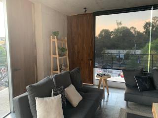A2-Apartment steps from Chapultepec Castle and Reforma - Città del Messico - 6