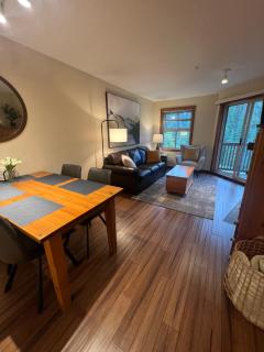 Main Village, Ski-in Ski-out, Hot Tub, Condo - Sun Peaks - 4