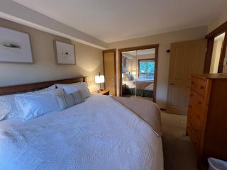 Main Village, Ski-in Ski-out, Hot Tub, Condo - Sun Peaks - 5