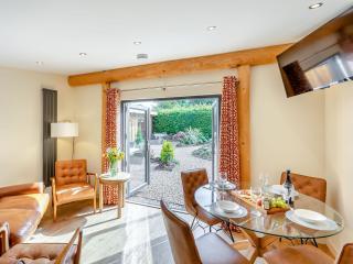 Fioled - Uk40267 - Llangadfan - 9