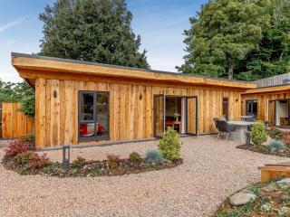 Fioled - Uk40267 - Llangadfan - 5