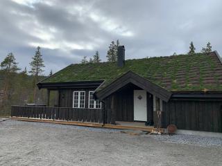 Family Cabin Near Ski Slopes - 1