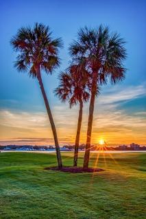 Westwinds 4790 - Destin - 5