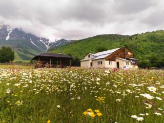 Guesthouse Daeli - 1