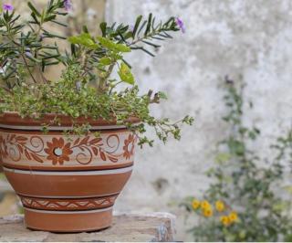 Avgitis guesthouse - Sitia - 2