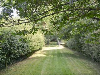 Lodge Cottage - B6008 - Wendling - 1
