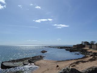 Rockview - Cellardyke - 1