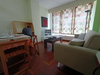 Bonito apartamento en pleno centro VUT-PO-7494 - Vigo - 1