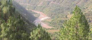 Shiv Dham - - 3