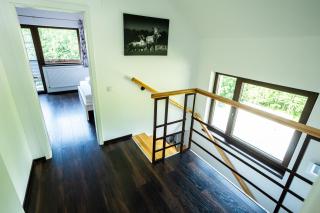 CABANA BERNER stațiunea Mogoșa - Baia-Sprie - 8