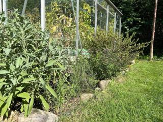 Lovely villa with children's rooms and edible garden - Copenhagen - 9