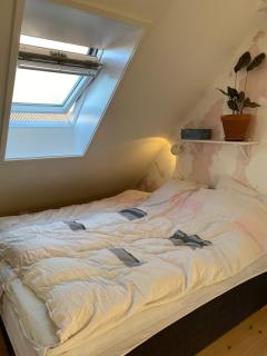 Lovely villa with children's rooms and edible garden - Copenhagen - 3