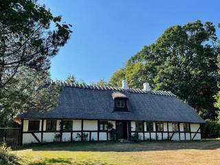 Historic And Idyllic Vibe In Langeland - Tranekær - 9