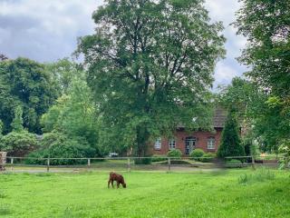Cosy Country House With Wild Garden Near The Lake - Plath - 9