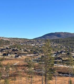 Cabin By The Cross-Country Trails In Sprenåsen - Flå - 3