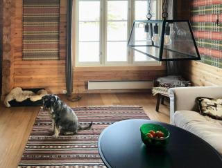 Family Cabin With Norefjell Mountain Views - Lampeland - 8