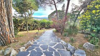 The Avis forest, swimming pool and great countryside setting - Fogás de Tordera - 9