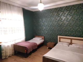 Golden Harmony Pool Villa - Gabala - 7
