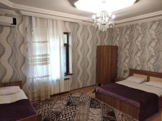 Golden Harmony Pool Villa - Gabala - 4