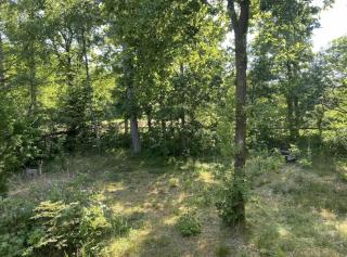 House Near Woods And Fields In Mols Bjerge - 1