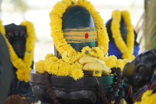 Lotuslahari Fram Resort and Convention - Hyderabad - 6