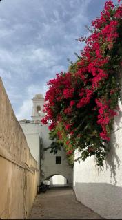 APARTAMENTO LA CHANCA CONIL DE LA FRONTERA - Conil de la Frontera - 8