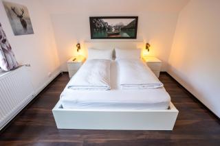CABANA BERNER stațiunea Mogoșa - Baia-Sprie - 1