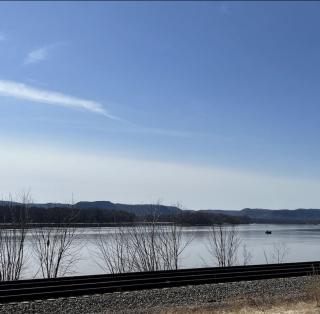 Dragonfly Nest, cabin vibe, river views - Fountain City - 4