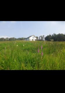 Drowes Cottage - Kinlough - 4