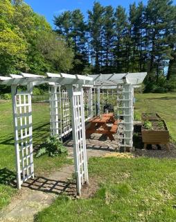 Stunning Victorian Estate with Lap Pool Gardens and Huge Porch - Georgetown - 1