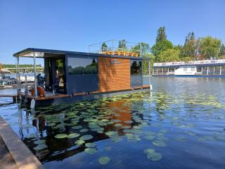 Błonie nad Nettą - 0