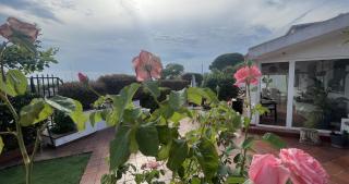 Villa Anna - Messina - 8