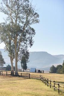 Shiloh Cottage - - 0