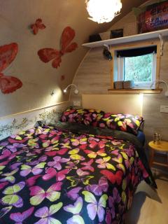 Butterfly Podika - Lerwick - 7