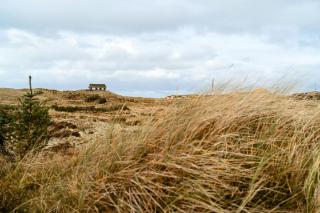 Traditional Cabin Among The Dunes - Skagen - 6