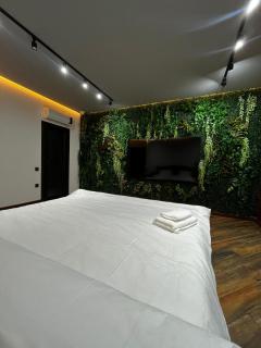 Novxanida bag evi - Baku - 6