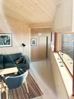 Architect-Designed Cabin With Views In Sjusjøen - Sjusjøen - 7