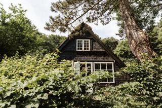 Architect-Designed A-House From 1918 In Nature - Stege - 3