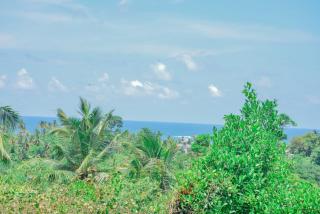 Unawatuna Nature Villa - Unawatuna - 8