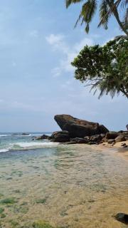 Unawatuna Nature Villa - Unawatuna - 1